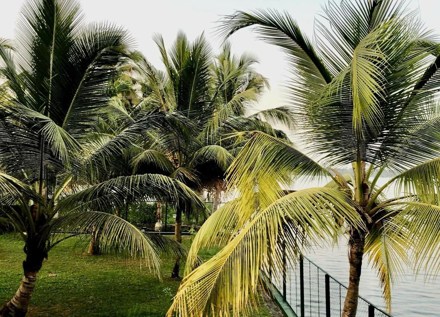 The Mill - Riverside 3Bhk Villa By Halcyon Traveltech Murinjupuzha
