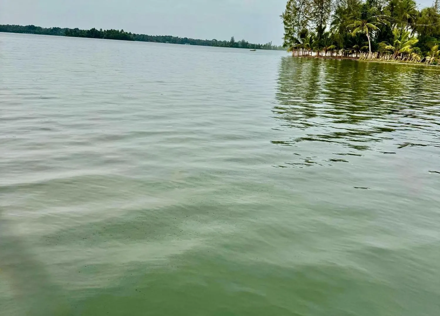 The Mill - Riverside 3Bhk Villa By Halcyon Traveltech Murinjupuzha